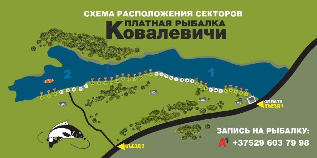 shema kovalevichi